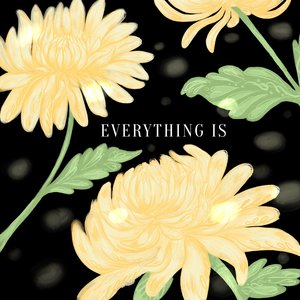 Изображение для 'Everything Is'