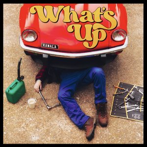 Image pour 'What's Up'