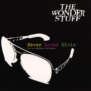 Image for 'Never Loved Elvis (Live)'
