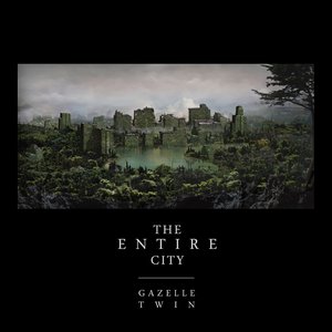 “The Entire City”的封面