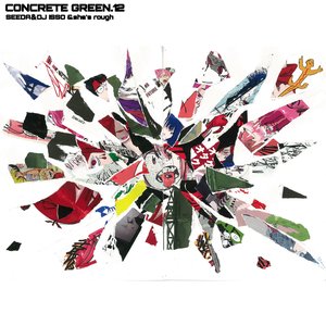 Immagine per 'CONCRETE GREEN 12'