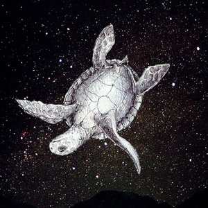 Изображение для 'la grosse tortue'