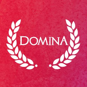 “Domina”的封面
