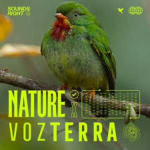 'Forest Bird Songs - Colombia' için resim