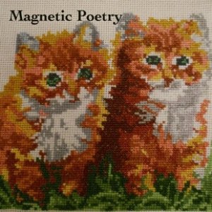 Image for 'Magnetic mini album'