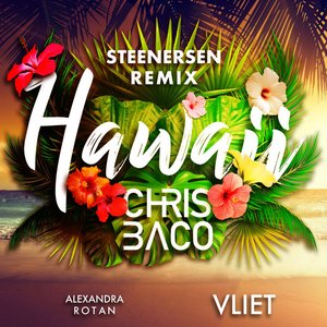 Image for 'Hawaii (Steenersen Remix)'