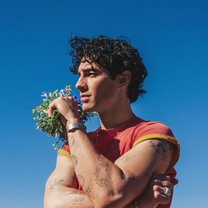 “Joe Jonas”的封面