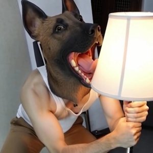 Image for 'Rey don perro'