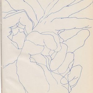 Image for 'El paseo'