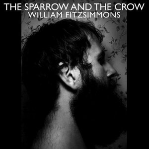 “The Sparrow and the Crow”的封面