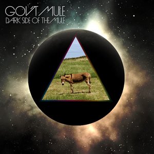 “Dark Side Of The Mule”的封面