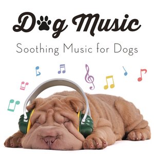 “Soothing Music for Dogs”的封面