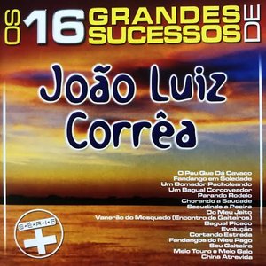 Image for 'Os 16 Grandes Sucessos de João Luiz Corrêa - Série +'