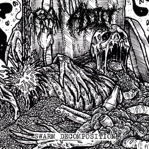 Image for 'SWARM DECOMPOSITION'
