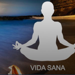 “Vida Sana”的封面