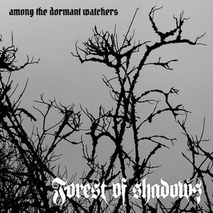 Image for 'Among the Dormant Watchers'