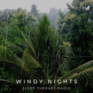 “Windy Nights”的封面