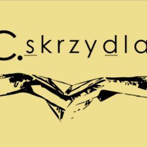 Image for 'SDC.skrzydlaści'