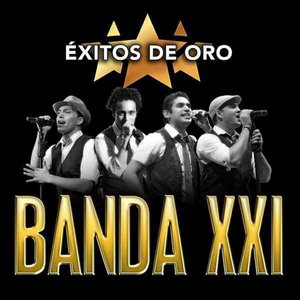 Image for 'Éxitos de Oro'