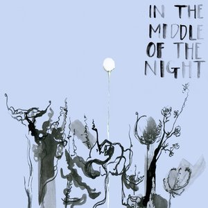 Изображение для 'In The Middle Of The Night'