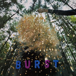 Image for 'Burst'