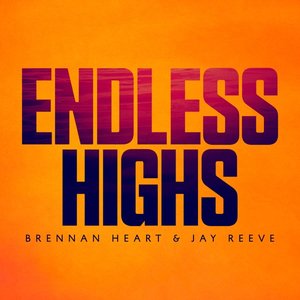 Imagem de 'Endless Highs'