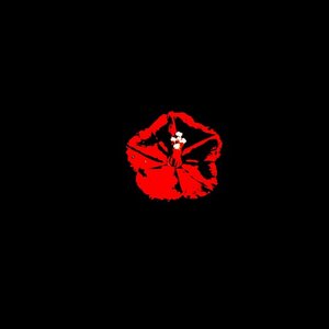 Image for 'DISORDER'