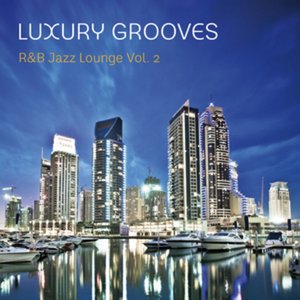 “Luxury Grooves”的封面