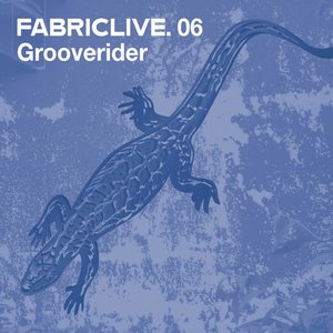 Immagine per 'FABRICLIVE 06: Grooverider (DJ Mix)'