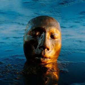 Image for 'The Misfit'