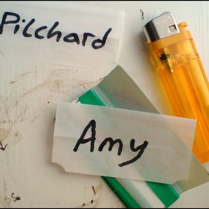 Image for 'Amy'