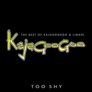 Bild för 'Too Shy: The Best Of Kajagoogoo & Limahl'