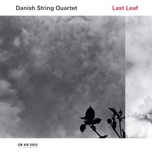 Image for 'Last Leaf'