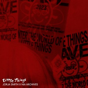 'Little Things (Nia Archives Remix)' için resim