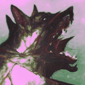 Kcauq