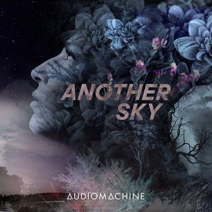 Image for 'Another Sky'