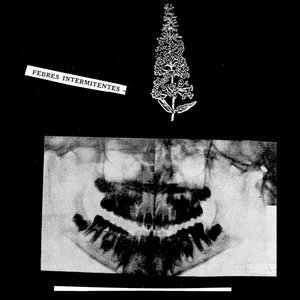 Image for 'Febres Intermitentes'