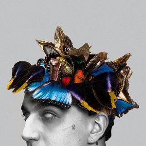 Image for 'Pułapka na motyle (deluxe edition)'
