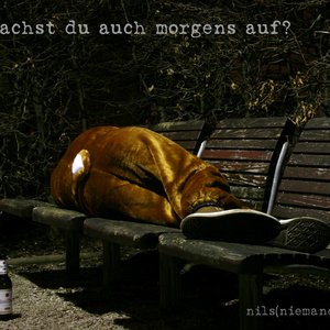 “wachst du auch morgens auf?”的封面