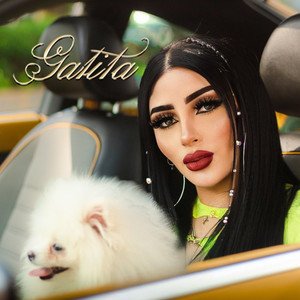 Изображение для 'Gatita'