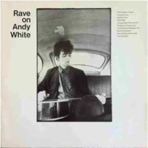 Immagine per 'Rave on Andy White'