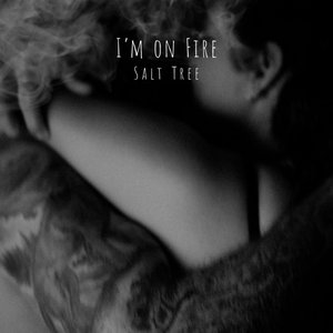 Изображение для 'I'm On Fire'