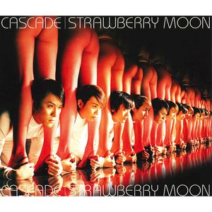 Image for 'Strawberry Moon'