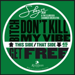 Image for 'Bitch Don't Kill My Vibe / Get Free'