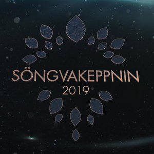 Image for 'Söngvakeppnin 2019'