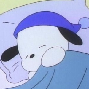Image pour 'stay the night pluggnb'