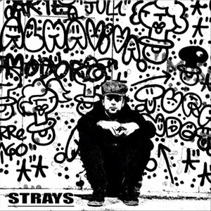 “Strays”的封面