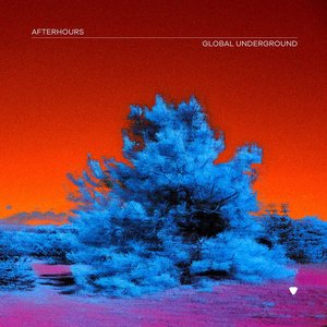Image for 'Global Underground: Afterhours 9 (Mixed)'