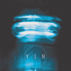 “YIN”的封面