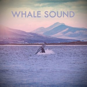 Immagine per 'Whale Sound'